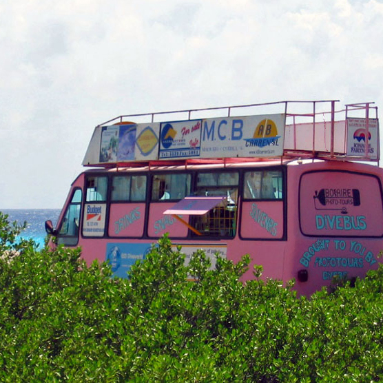 Bonaire Blogs