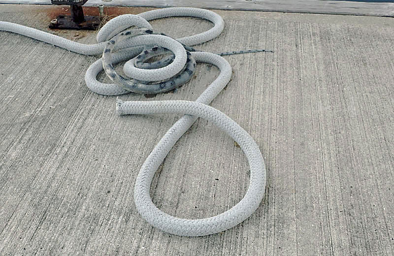 Snake in the Coils