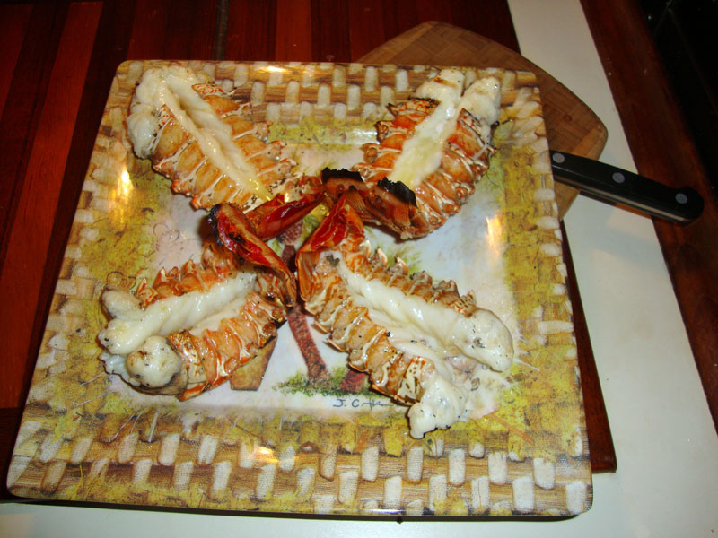 Our Square of Lobster Tails